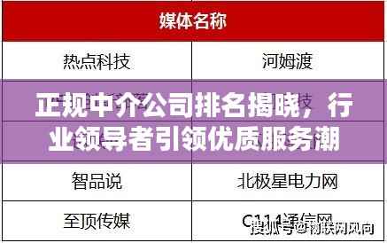 正规中介公司排名揭晓,行业领导者引领优质服务潮流