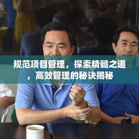 规范项目管理,探索精髓之道,高效管理的秘诀揭秘