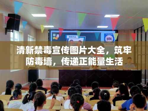 清新禁毒宣传图片大全,筑牢防毒墙,传递正能量生活