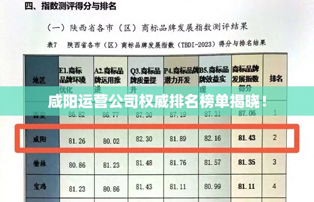 咸阳运营公司权威排名榜单揭晓!