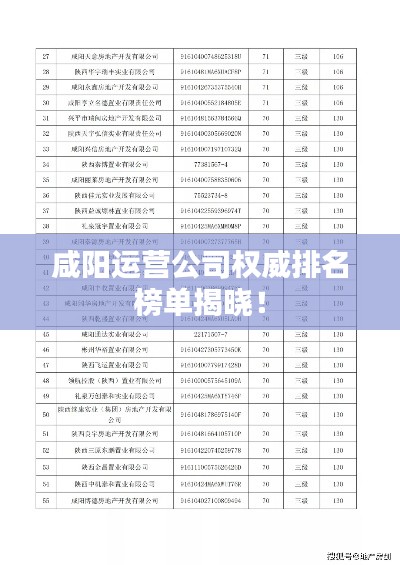咸阳运营公司权威排名榜单揭晓!