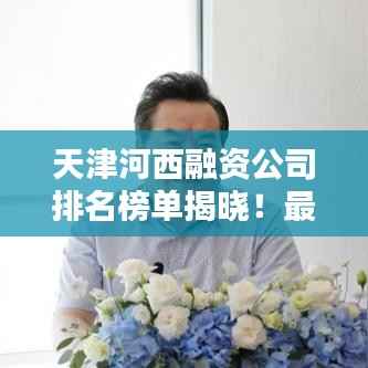 天津河西融资公司排名榜单揭晓!最新排名表一网打尽!