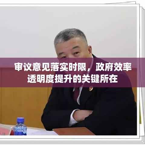 审议意见落实时限,政府效率透明度提升的关键所在