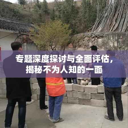 专题深度探讨与全面评估,揭秘不为人知的一面