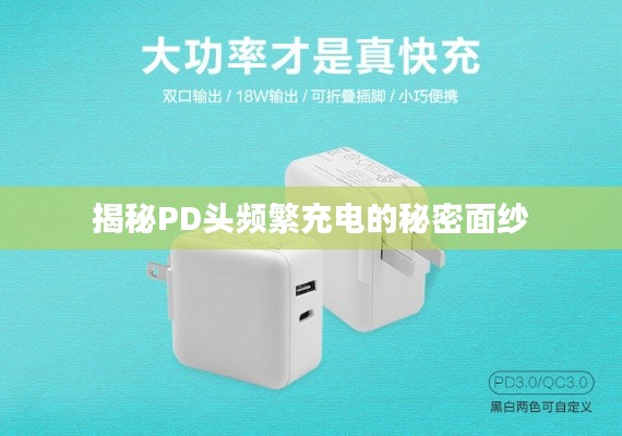 揭秘PD头频繁充电的秘密面纱