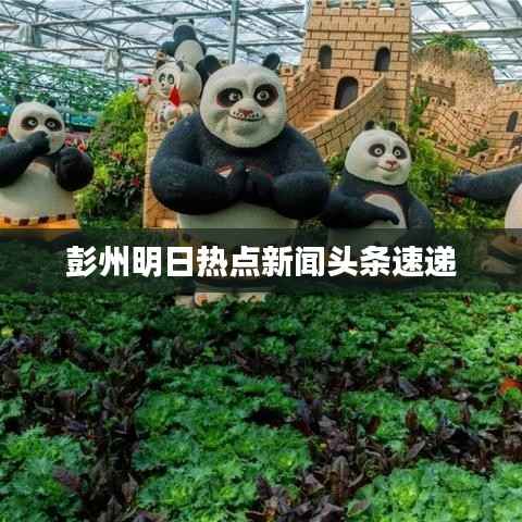 彭州明日热点新闻头条速递