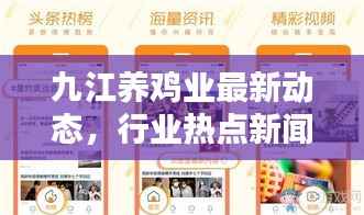 九江养鸡业最新动态,行业热点新闻头条