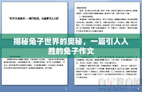 吉光片羽 第2页