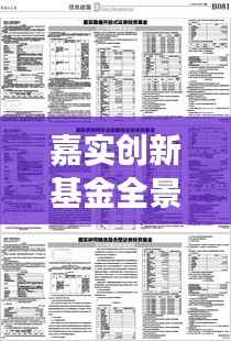 嘉实创新基金全景解析,最新概况与公告权威解读