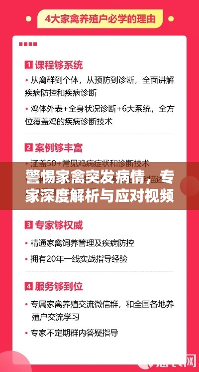 警惕家禽突发病情,专家深度解析与应对视频教程上线