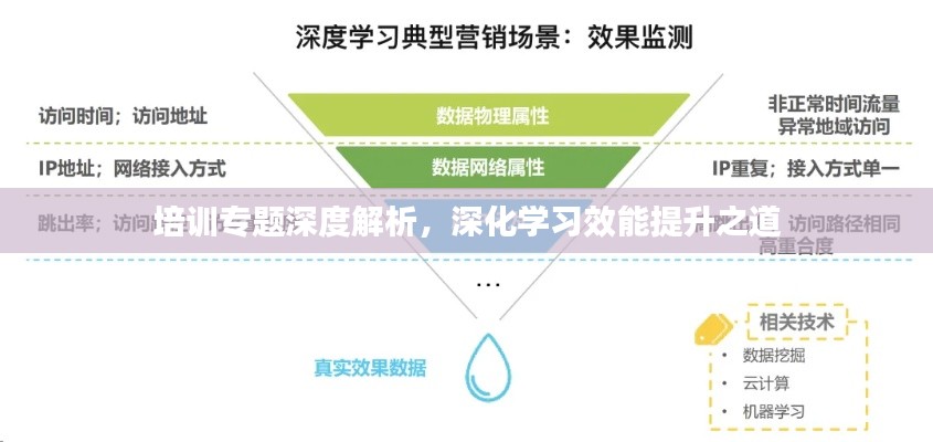 培训专题深度解析,深化学习效能提升之道