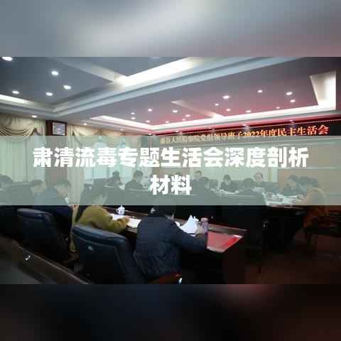肃清流毒专题生活会深度剖析材料