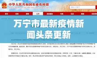 万宁市最新疫情新闻头条更新