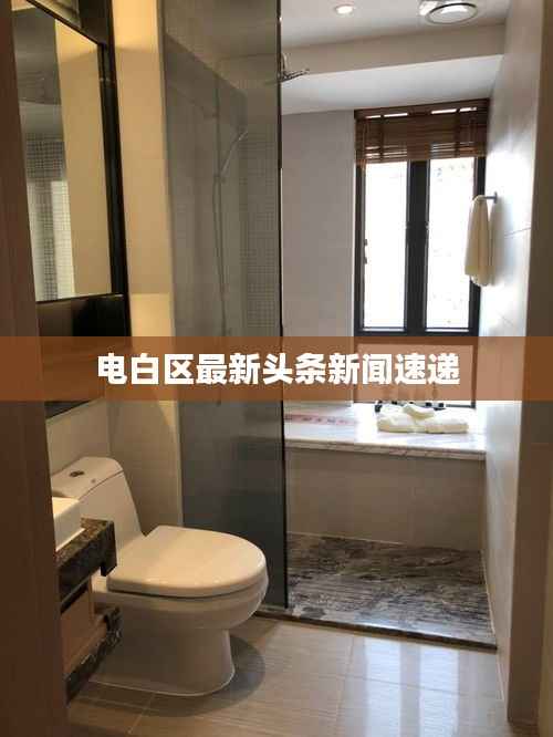 电白区最新头条新闻速递