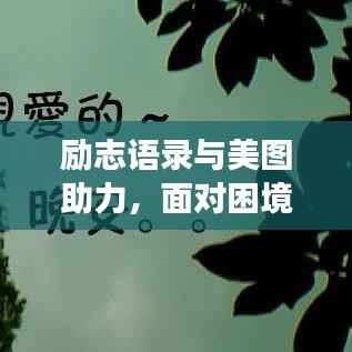 励志语录与美图助力,面对困境,如何做出明智抉择?