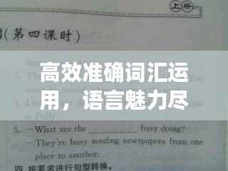 高效准确词汇运用,语言魅力尽在其中