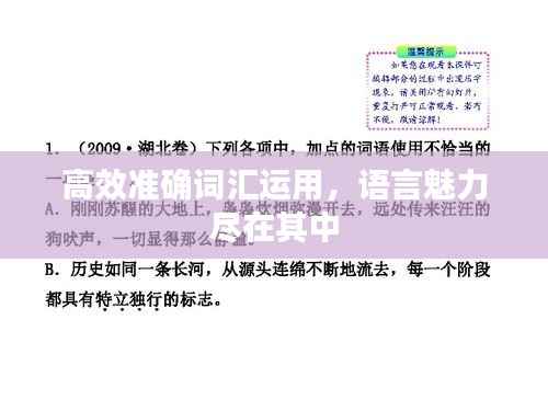 高效准确词汇运用,语言魅力尽在其中