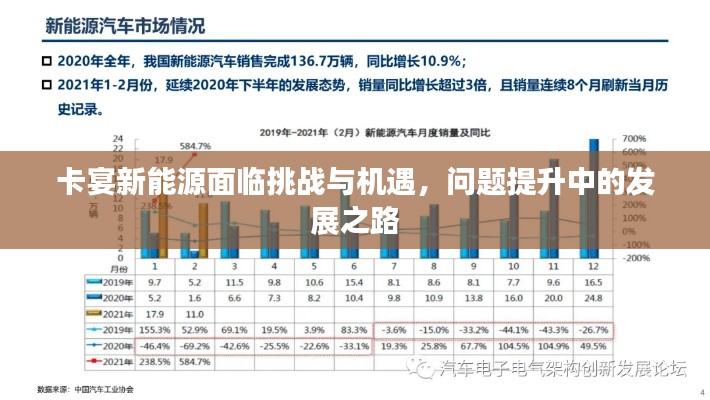 卡宴新能源面临挑战与机遇,问题提升中的发展之路