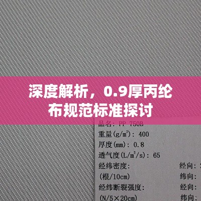 深度解析,0.9厚丙纶布规范标准探讨