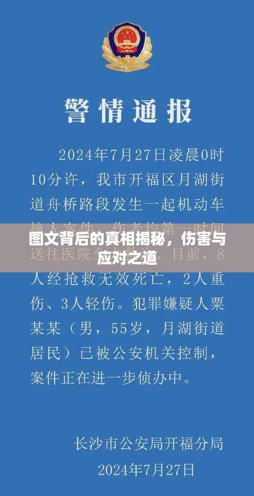 图文背后的真相揭秘,伤害与应对之道