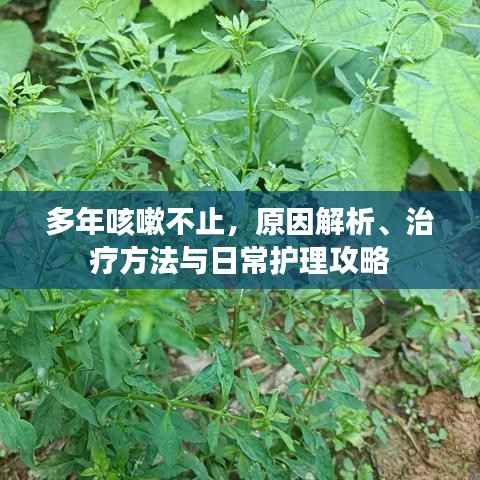 多年咳嗽不止,原因解析、治疗方法与日常护理攻略