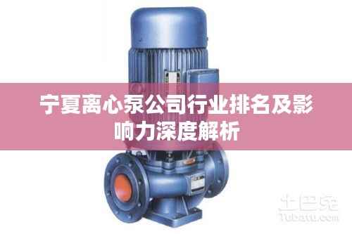 宁夏离心泵公司行业排名及影响力深度解析