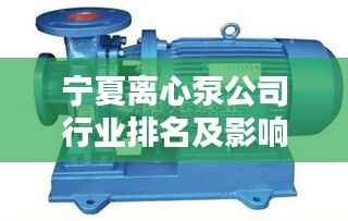 宁夏离心泵公司行业排名及影响力深度解析