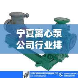 宁夏离心泵公司行业排名及影响力深度解析