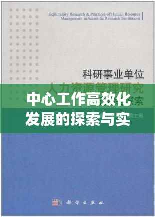 中心工作高效化发展的探索与实践,实践路径与成效研究