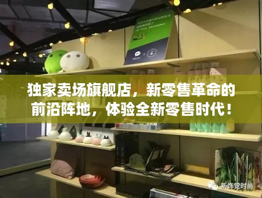 独家卖场旗舰店,新零售革命的前沿阵地,体验全新零售时代!