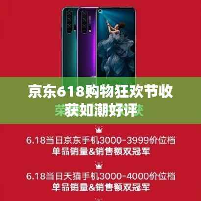 京东618购物狂欢节收获如潮好评