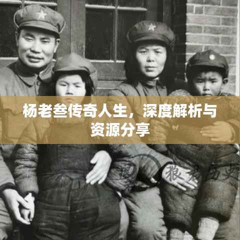 杨老叁传奇人生,深度解析与资源分享