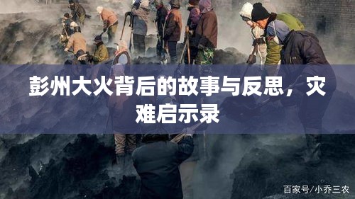 鸟骇鼠窜