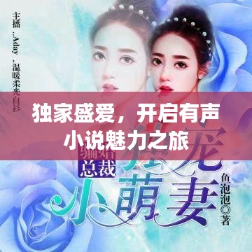 独家盛爱,开启有声小说魅力之旅