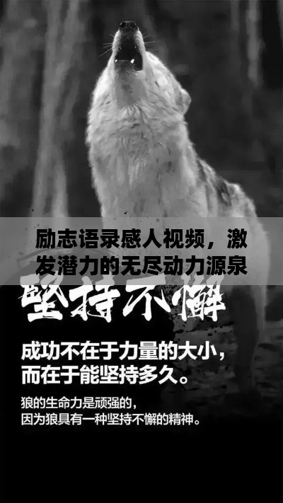 励志语录感人视频,激发潜力的无尽动力源泉,振奋心灵的力量!