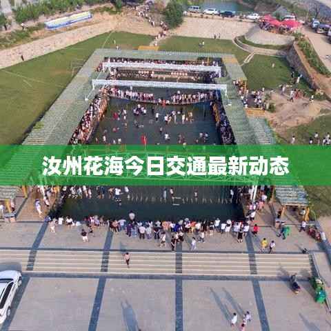 汝州花海今日交通最新动态