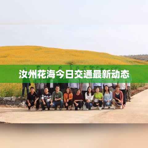 汝州花海今日交通最新动态