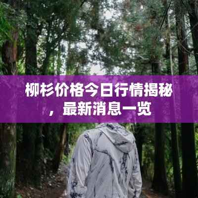 在线留言 第94页