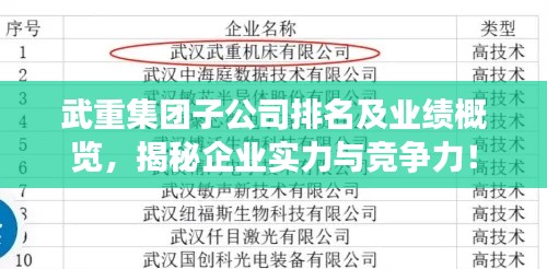 武重集团子公司排名及业绩概览,揭秘企业实力与竞争力!