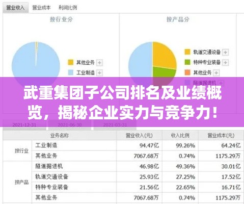 武重集团子公司排名及业绩概览,揭秘企业实力与竞争力!
