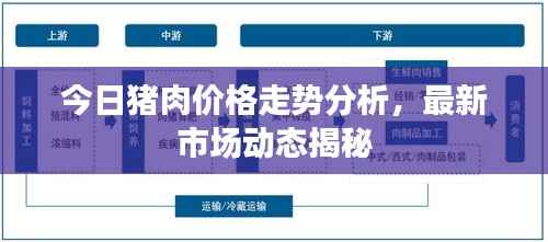 今日猪肉价格走势分析,最新市场动态揭秘