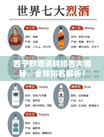 西宁烈酒消耗排名大揭秘,全球排名解析!