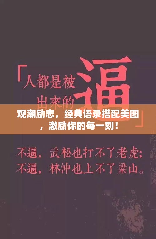 小鸟伊人