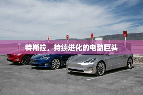特斯拉,持续进化的电动巨头