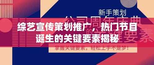 综艺宣传策划推广,热门节目诞生的关键要素揭秘