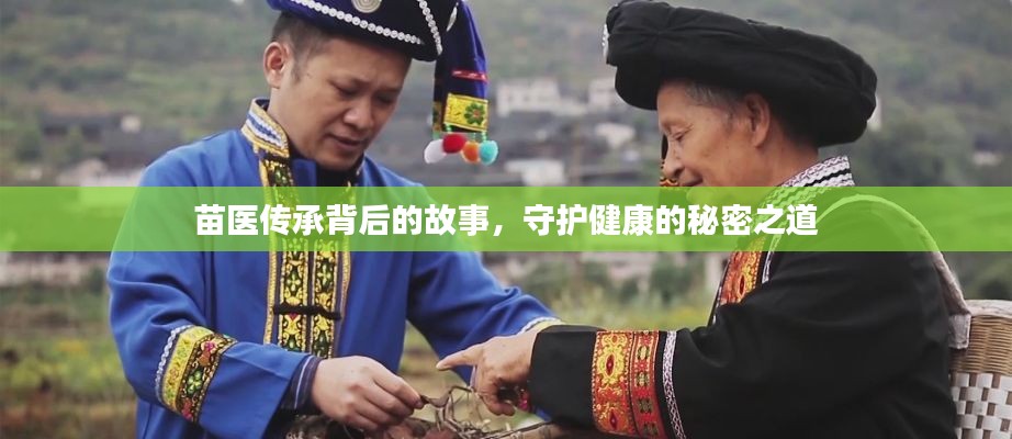 苗医传承背后的故事,守护健康的秘密之道