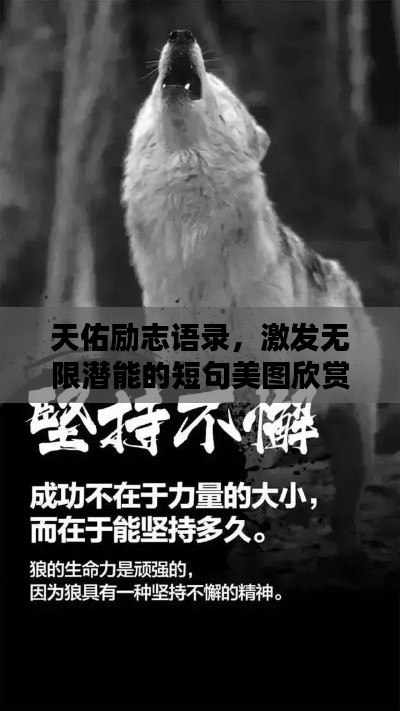 天佑励志语录,激发无限潜能的短句美图欣赏