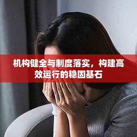 机构健全与制度落实,构建高效运行的稳固基石