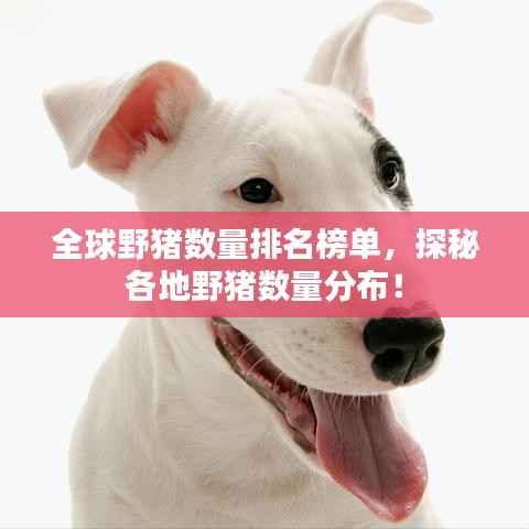 全球野猪数量排名榜单,探秘各地野猪数量分布!