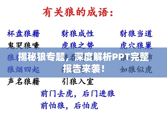 揭秘狼专题,深度解析PPT完整报告来袭!